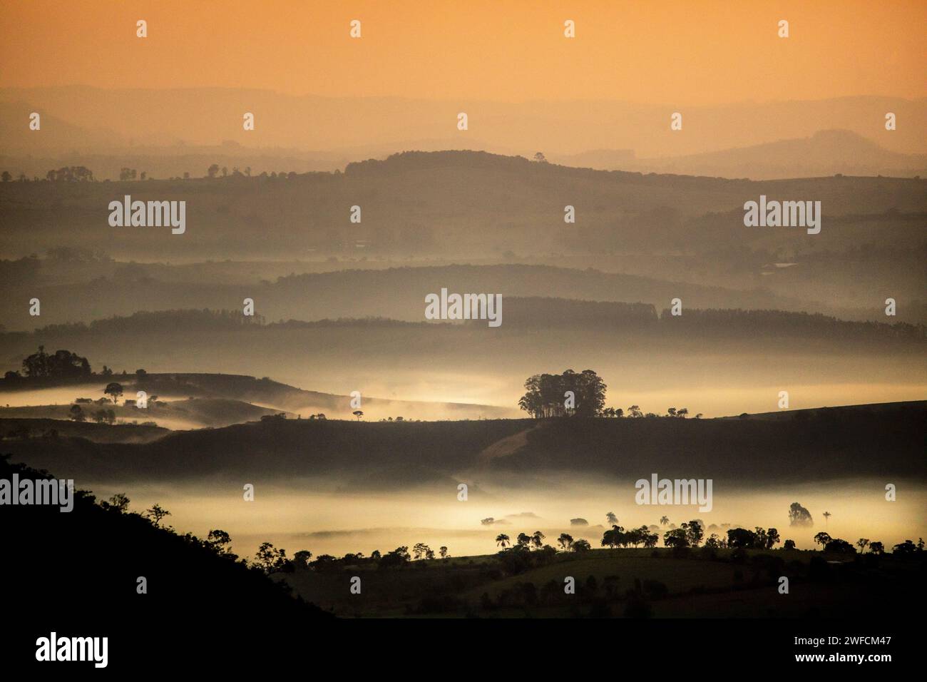 Vista all'alba con nebbia - Parco Nazionale Serra da Canastra - Foto Stock