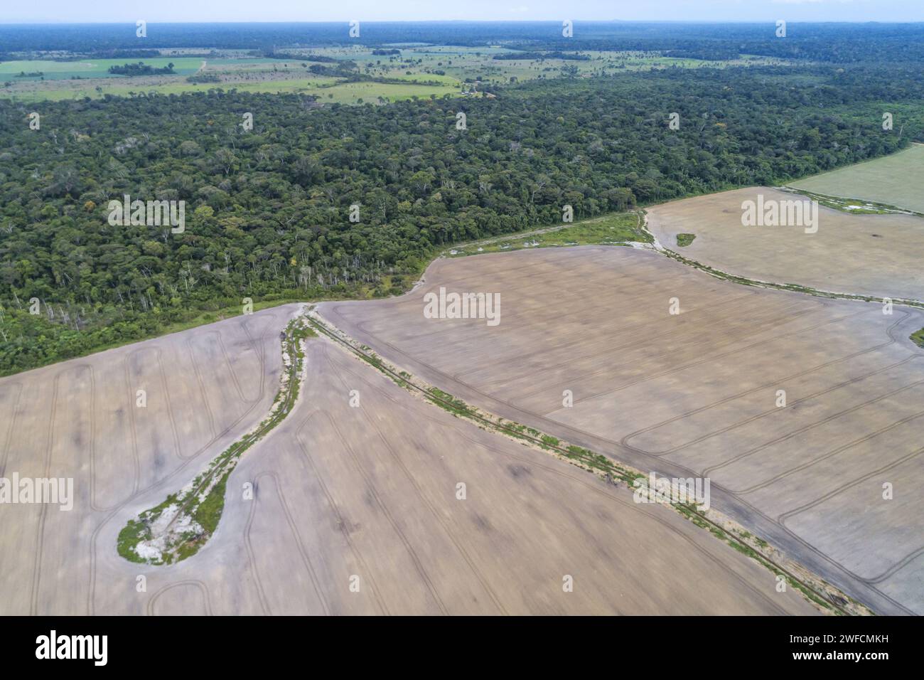 Vista droni della zona deforestata piantata con soia e tratto di foresta amazzonica conservato - Foto Stock