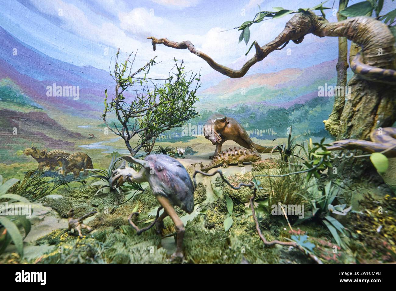 Vista di un diorama con un T Rex che attacca un altro dinosauro. Presso il Museo centrale di Stato della Repubblica del Kazakistan ad Almaty, Kazakistan. Foto Stock