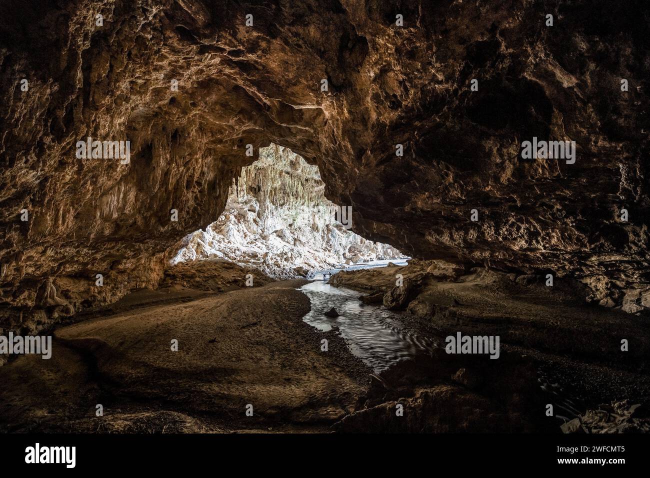 Ingresso al fiume Lapa e alla grotta Terra Ronca i - Parco statale Terra Ronca - Foto Stock