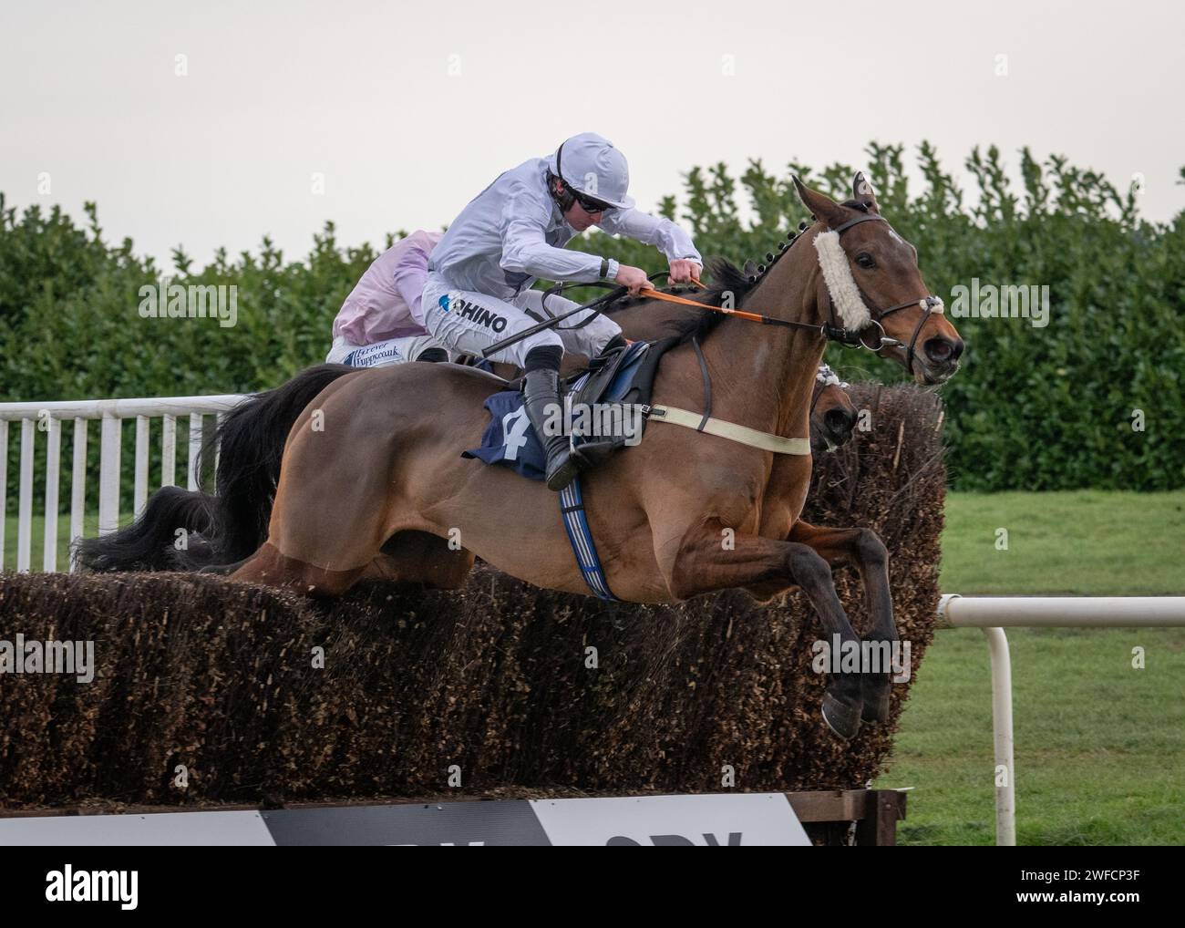 Snowy Evening vince la SBK Novices' handicap Chase a Doncaster per Oliver Greenall & Josh Guerriero e Henry Brooke il 28 gennaio 24 Foto Stock