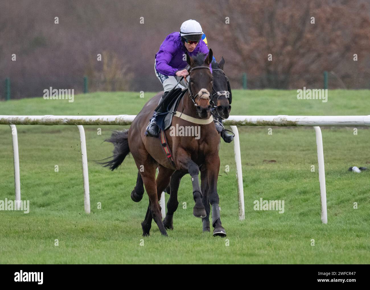 Alcuni Scope vincono SBK handicap Chase (Go North Red Rum Series Qualifier) a Doncaster il 24 gennaio 28 per Richard Hobson, Gavin Sheehan e Rubicon Racing Foto Stock