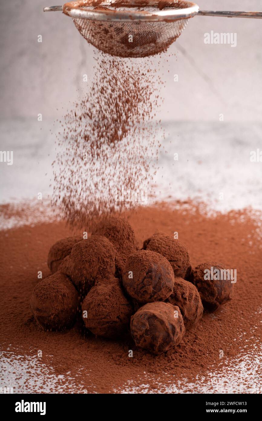 cioccolato, cibo, fatto in casa, tartufo al cioccolato, buongustai, cacao in polvere, dolciumi, sfondo, isolato, fotografia, niente persone, zucchero, verticale, col Foto Stock