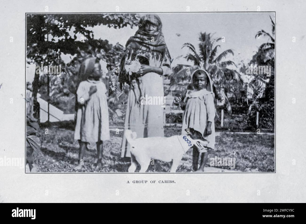 Un GRUPPO DI CARIBI Guatemala 1909 i Kalinago, precedentemente noti come Island Caribs o semplicemente Caribs, sono un popolo indigeno delle piccole Antille nei Caraibi. T Foto Stock