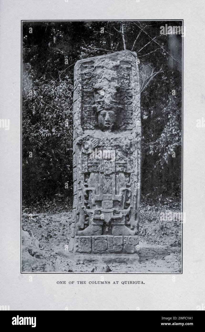 UNA DELLE COLONNE DI QUIRIGUA, Guatemala 1909 Quiriguá, è un antico sito archeologico Maya nel dipartimento di Izabal nel Guatemala sud-orientale. Foto Stock