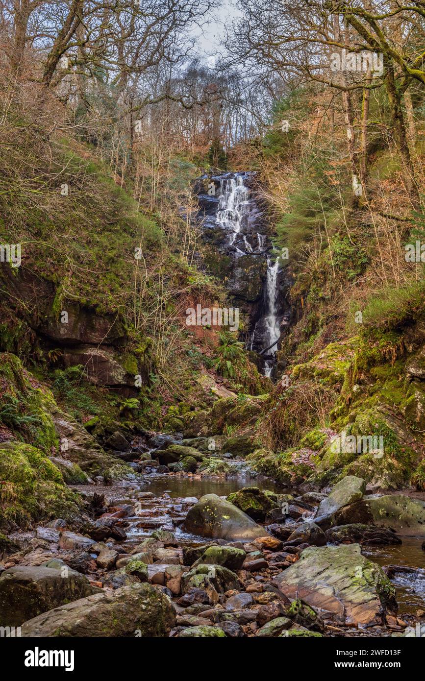Una cascata sulla Allt A' Mhangam brucia nella foresta della regina Elisabetta vicino ad Aberfoyle, Trossachs, Stirling, Scozia Foto Stock
