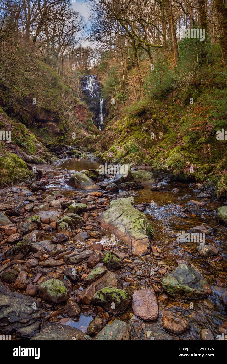 Una cascata sulla Allt A' Mhangam brucia nella foresta della regina Elisabetta vicino ad Aberfoyle, Trossachs, Stirling, Scozia Foto Stock