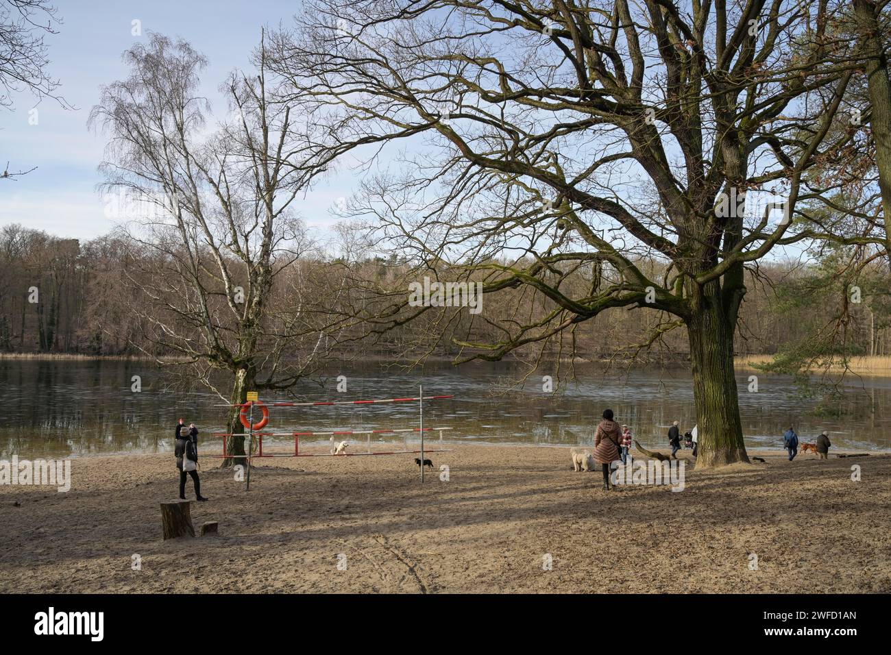 Spaziergänger mit Hunden am Grunewaldsee, Grunewald, Charlottenburg-Wilmersdorf, Berlino, Deutschland Foto Stock