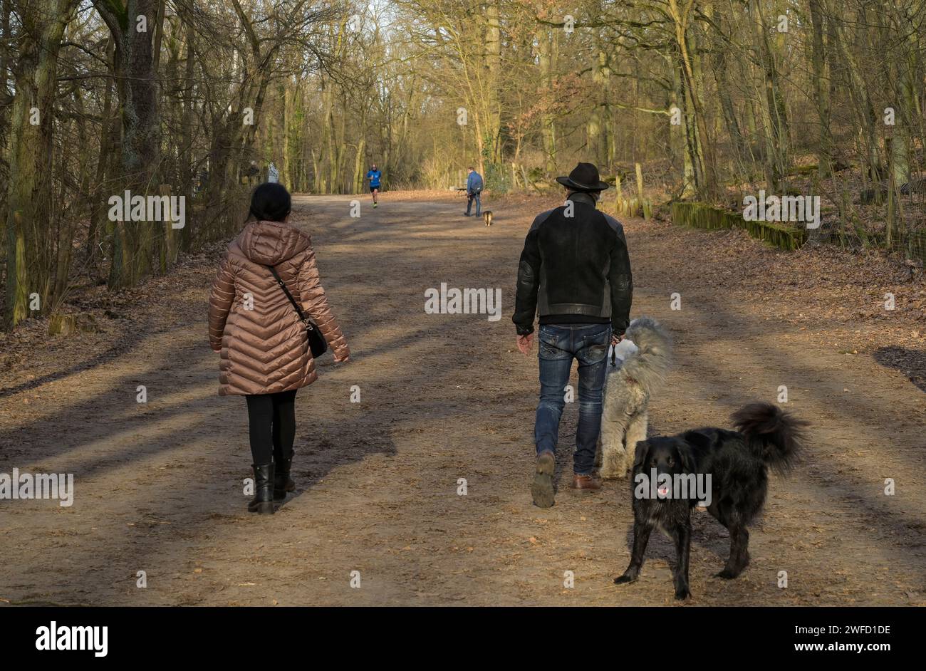 Spaziergänger mit Hunden, Rundweg um den Grunewaldsee, Grunewald, Charlottenburg-Wilmersdorf, Berlino, Deutschland Foto Stock