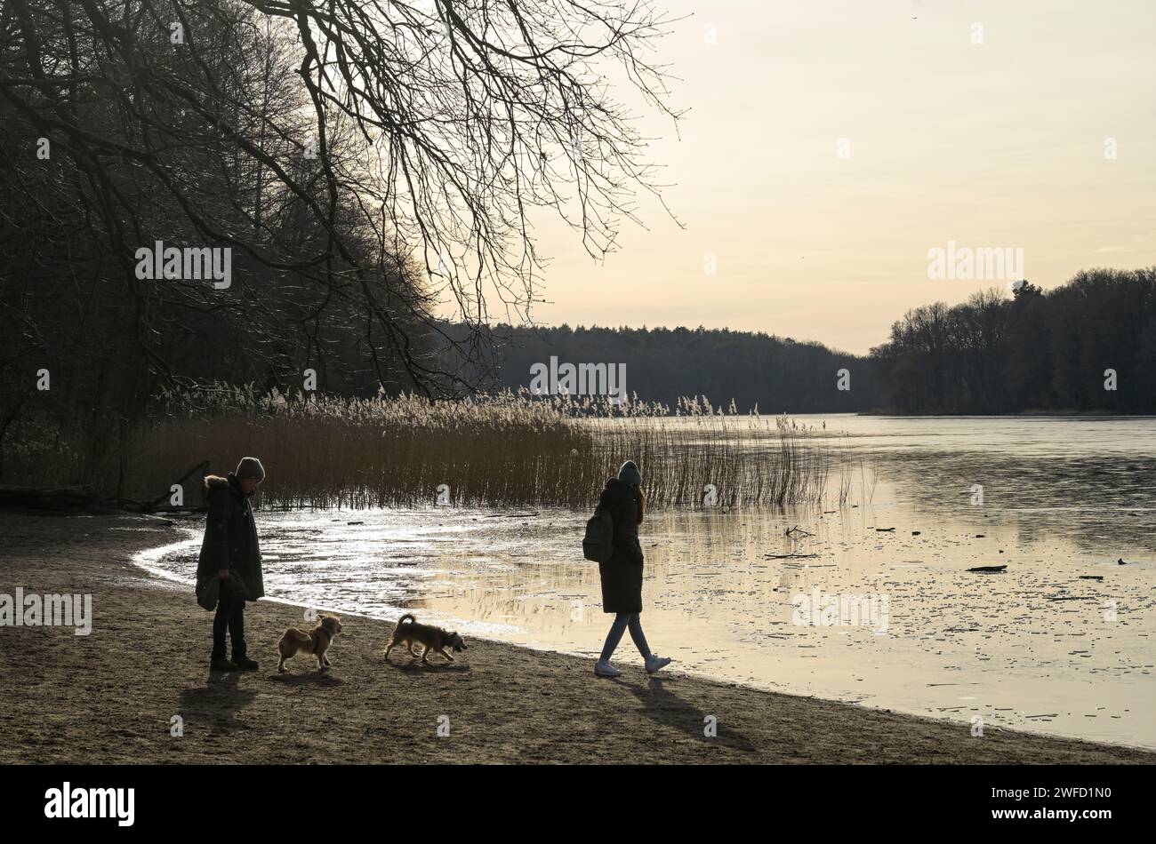 Spaziergänger mit Hunden am Grunewaldsee, Grunewald, Charlottenburg-Wilmersdorf, Berlino, Deutschland Foto Stock