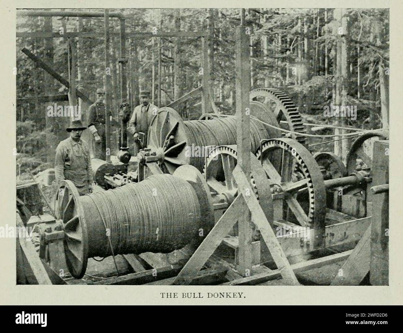 Il Bull Donkey dall'articolo MODERN LOGGING NEGLI STATI NORDOCCIDENTALI. Di Edward K. Bishop. Dalla rivista Engineering Magazine dedicata al progresso industriale volume XI ottobre 1897 The Engineering Magazine Co Foto Stock