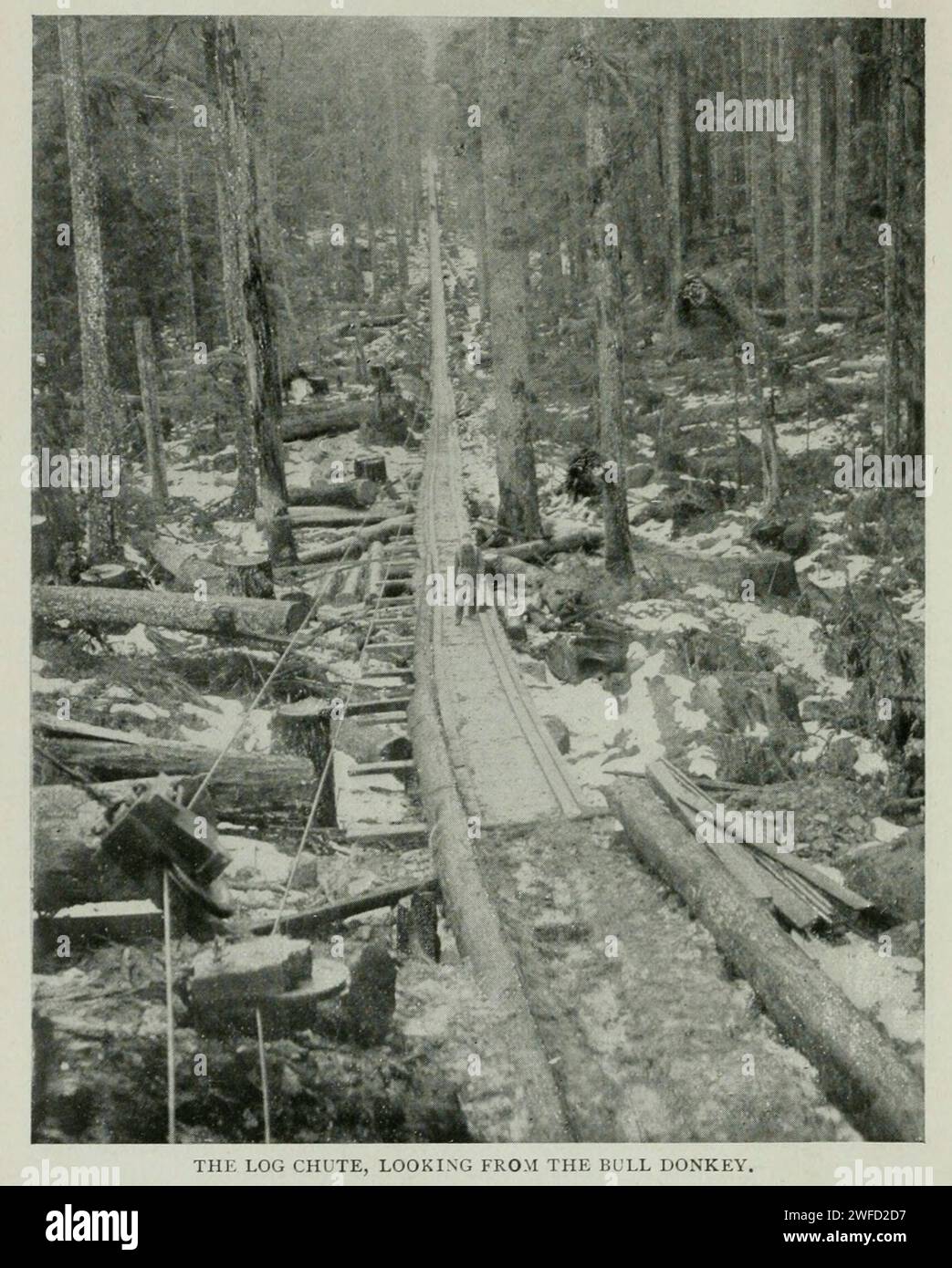 Il Log Shute guardando dal Bull Donkey dall'articolo MODERN LOGGING NEGLI STATI DEL NORD-OVEST. Di Edward K. Bishop. Dalla rivista Engineering Magazine dedicata al progresso industriale volume XI ottobre 1897 The Engineering Magazine Co Foto Stock
