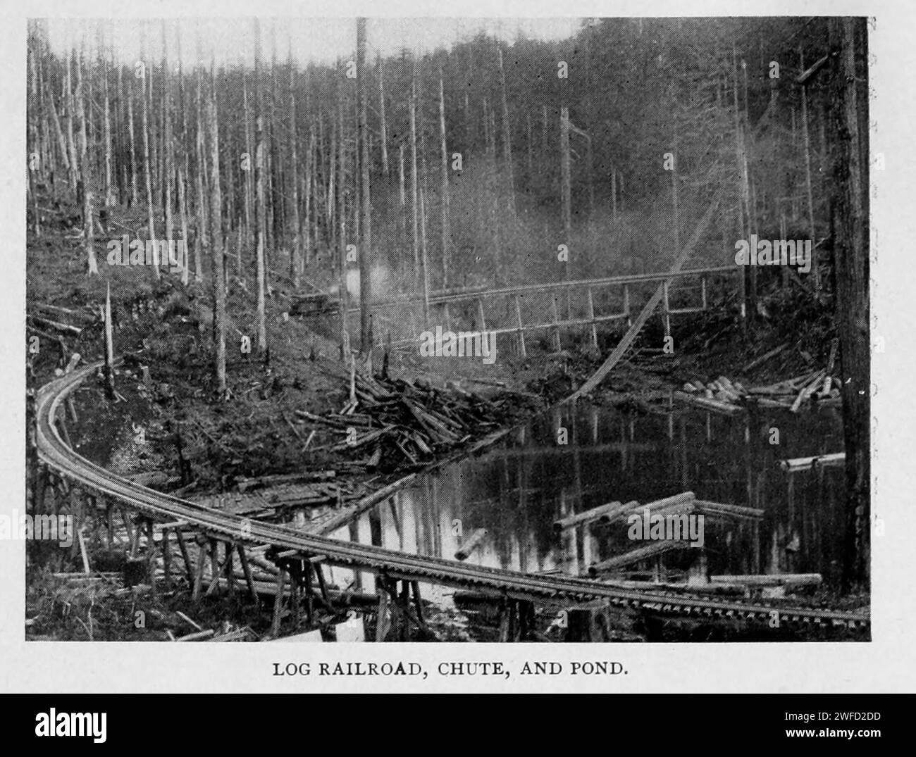 Scivolo ferroviario e stagno di tronchi dall'articolo MODERN BOSCO NEGLI STATI DEL NORD-OVEST. Di Edward K. Bishop. Dalla rivista Engineering Magazine dedicata al progresso industriale volume XI ottobre 1897 The Engineering Magazine Co Foto Stock