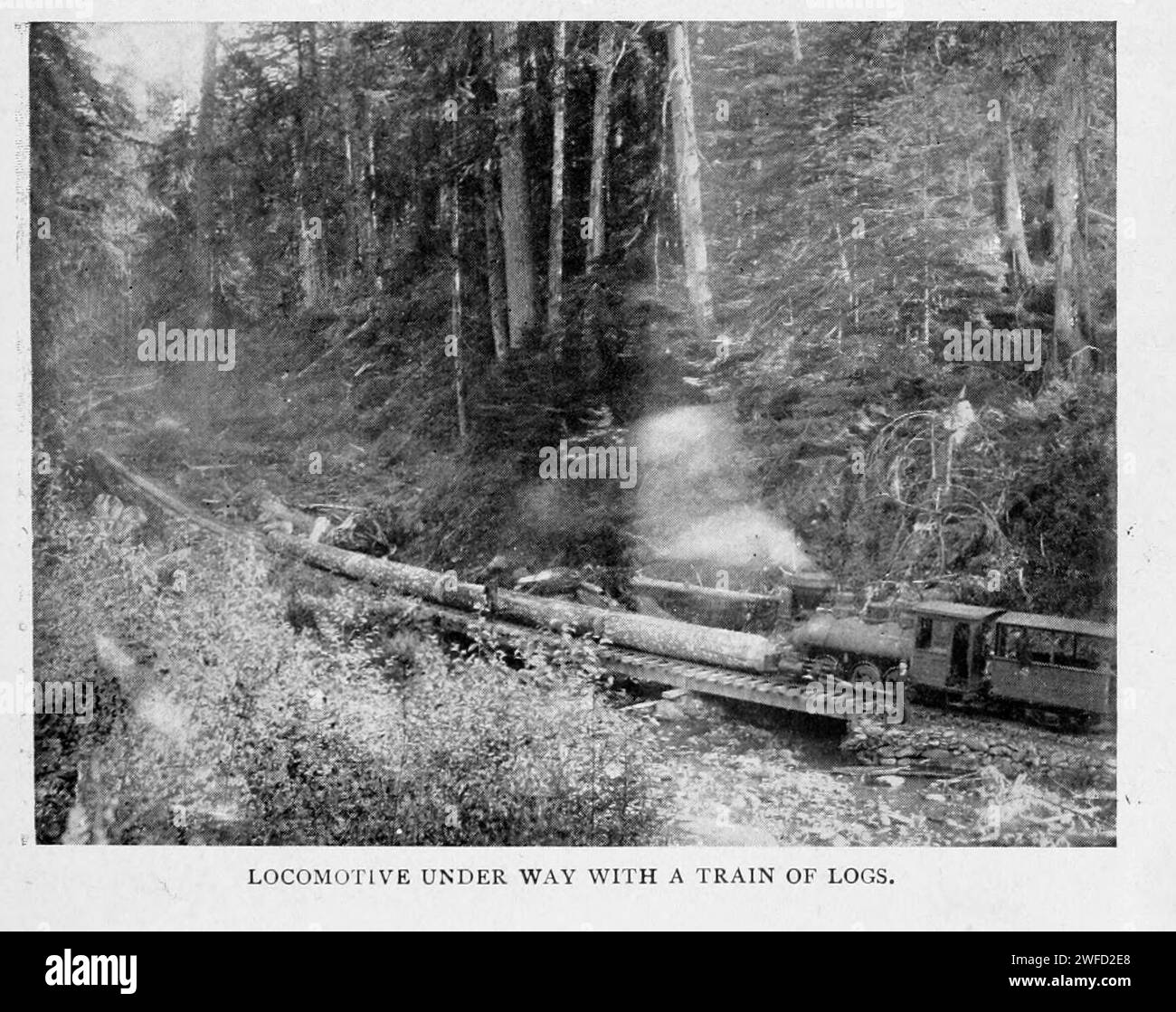 Locomotiva in corso con un treno di tronchi dell'articolo MODERN LOGGING NEGLI STATI NORDOCCIDENTALI. Di Edward K. Bishop. Dalla rivista Engineering Magazine dedicata al progresso industriale volume XI ottobre 1897 The Engineering Magazine Co Foto Stock