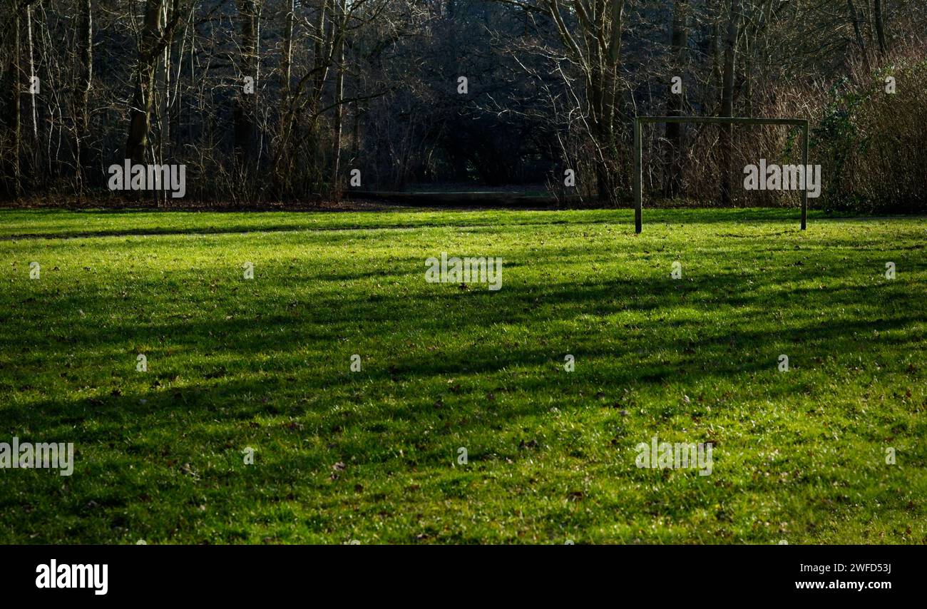 Un campo da calcio in erba deserta in condizioni di scarsa illuminazione del sole mattutino in arrivo con lunghe ombre radiose, un gol da calcio sul lato destro Foto Stock