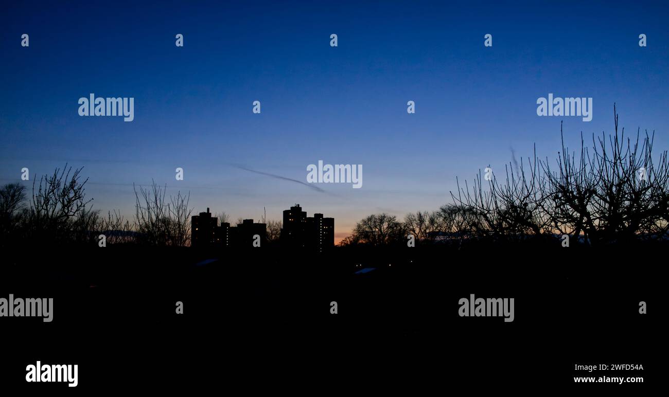 Panorama di periferia con sagome di alti blocchi abitativi a più piani e alcuni alberi al tramonto del sole serale Foto Stock