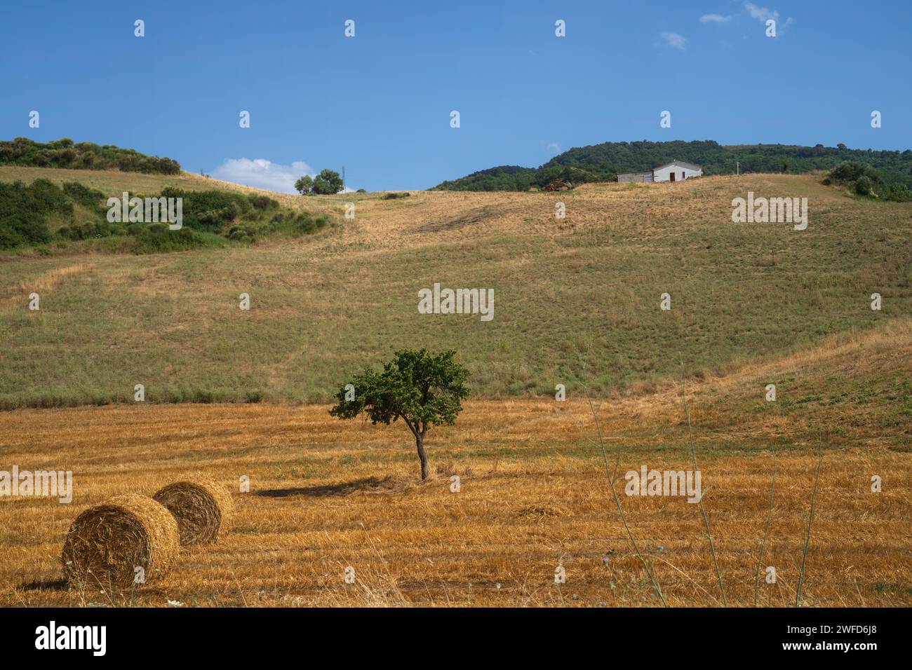 Paesaggio di campagna nei pressi di Oppido Lucano e San Chirico, in provincia di potenza, Basilicata, Italia Foto Stock
