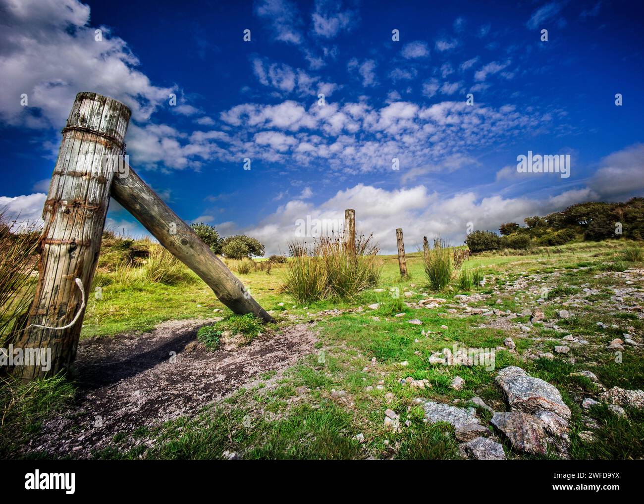 Recinzioni sul lago Colliford Foto Stock
