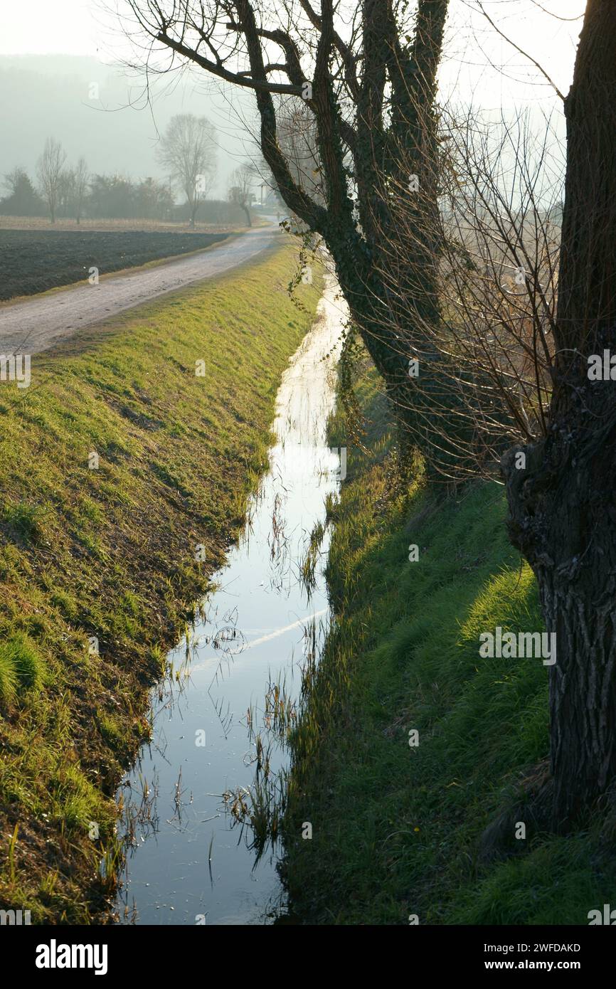 Un piccolo torrente in campagna, sparato in controluce per donare più risalto alla luce. Foto Stock