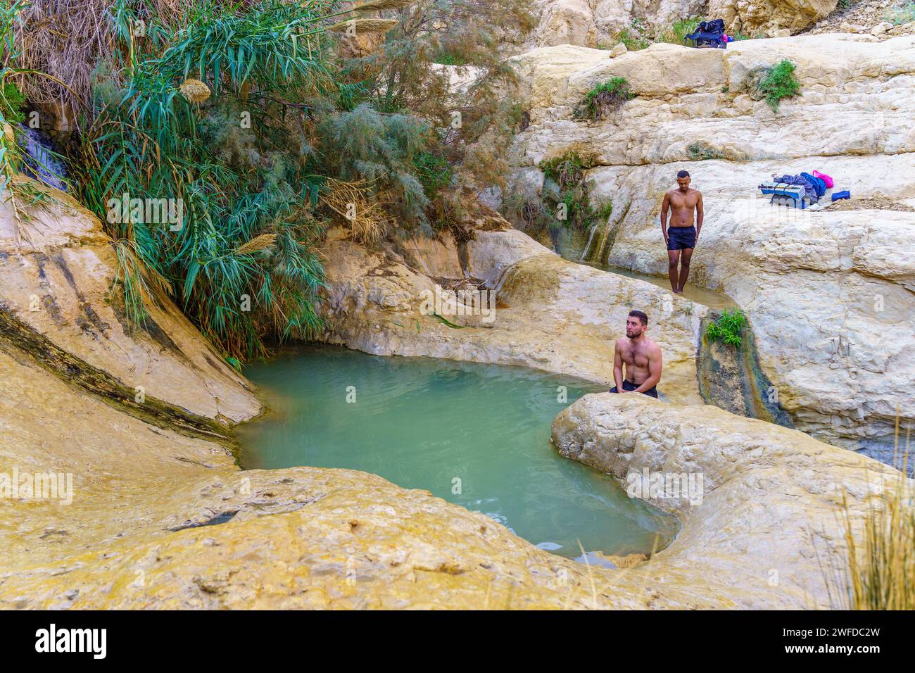Ein Gedi, Israele - 18 gennaio 2024: Vista dei visitatori e una piscina d'acqua nel torrente David, riserva naturale di Ein Gedi, vicino al Mar morto, nel sud di Israele Foto Stock