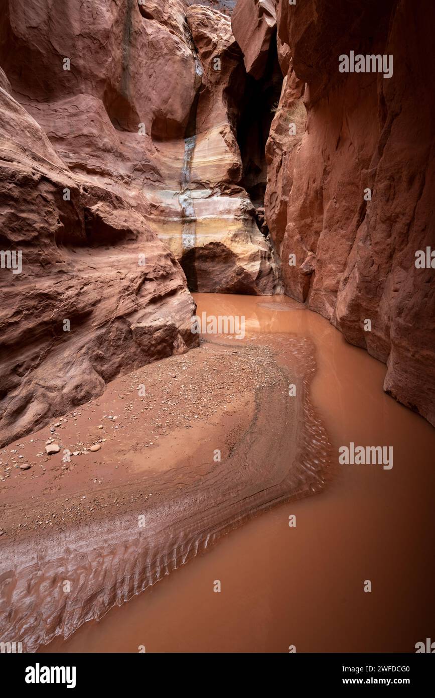 Il Rock Canyon recuperato dall'essere stato riempito di limo da Powell Reservoir, Cataract Canyon, Utah. Foto Stock