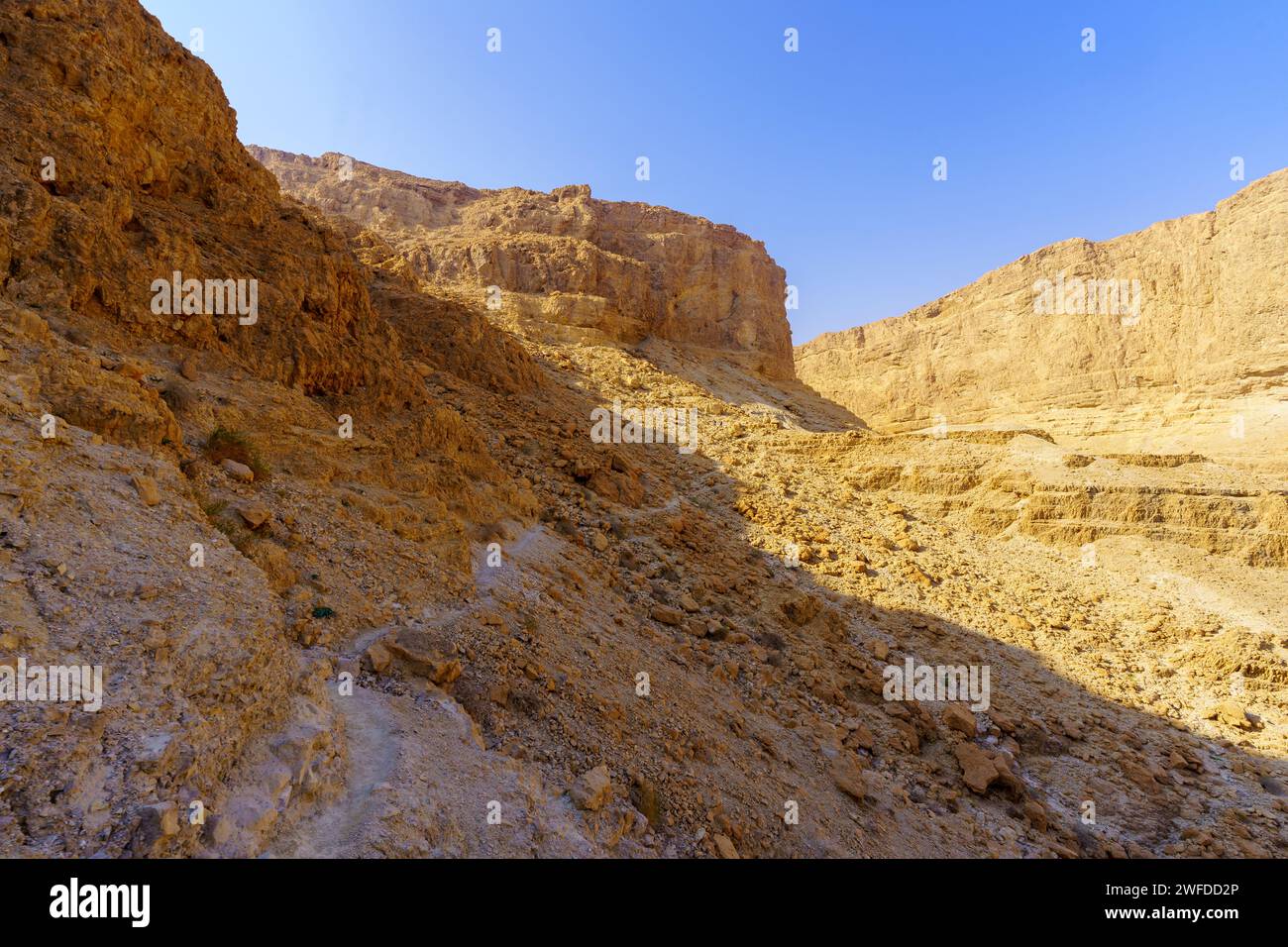 Vista del paesaggio della valle desertica di Rahaf, con un sentiero, la costa del Mar morto, il deserto della Giudea, il sud di Israele Foto Stock