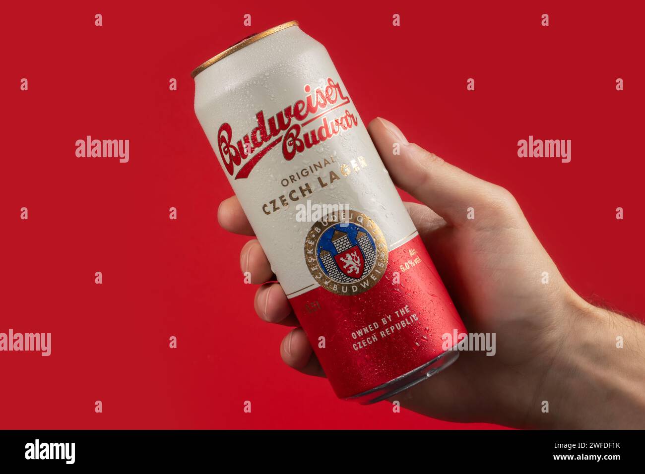 Dnipro, Ucraina 14 novembre 2023: Budweiser Budvar birra lager ceca originale in lattina di alluminio e gocce d'acqua in mano. Foto Stock