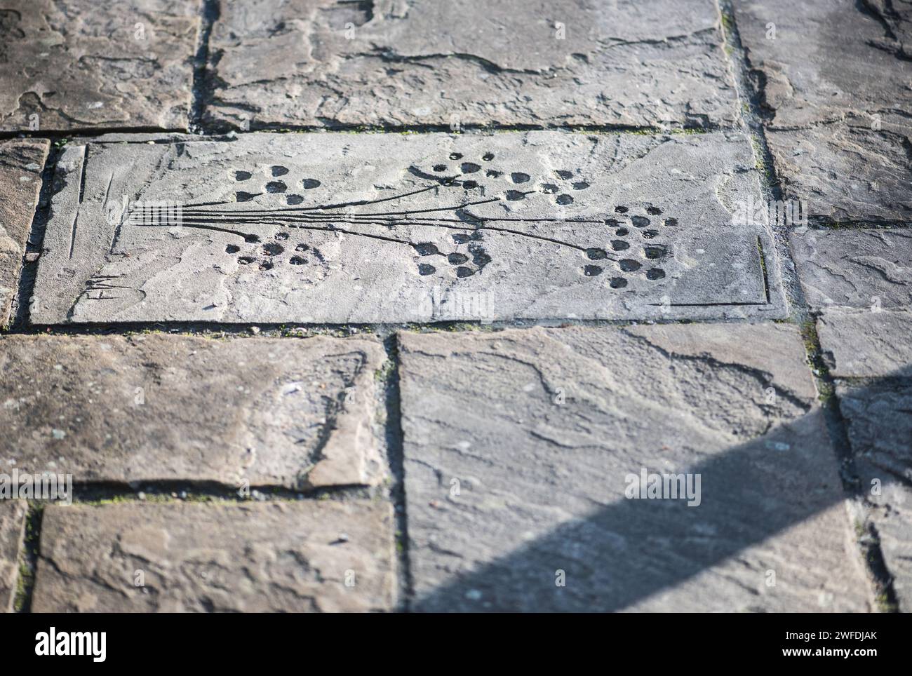 Interessante aggiunta di un motivo floreale alle lastre di pavimentazione a Gargrave, North Yorkshire, gennaio 2024 Foto Stock