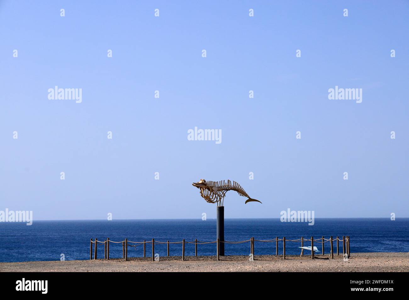 Scheletro di balena beccata di Cuvier (Ziphius cavirostris), El Cotillo, Fuerteventura, Isole Canarie, Spagna. Foto Stock