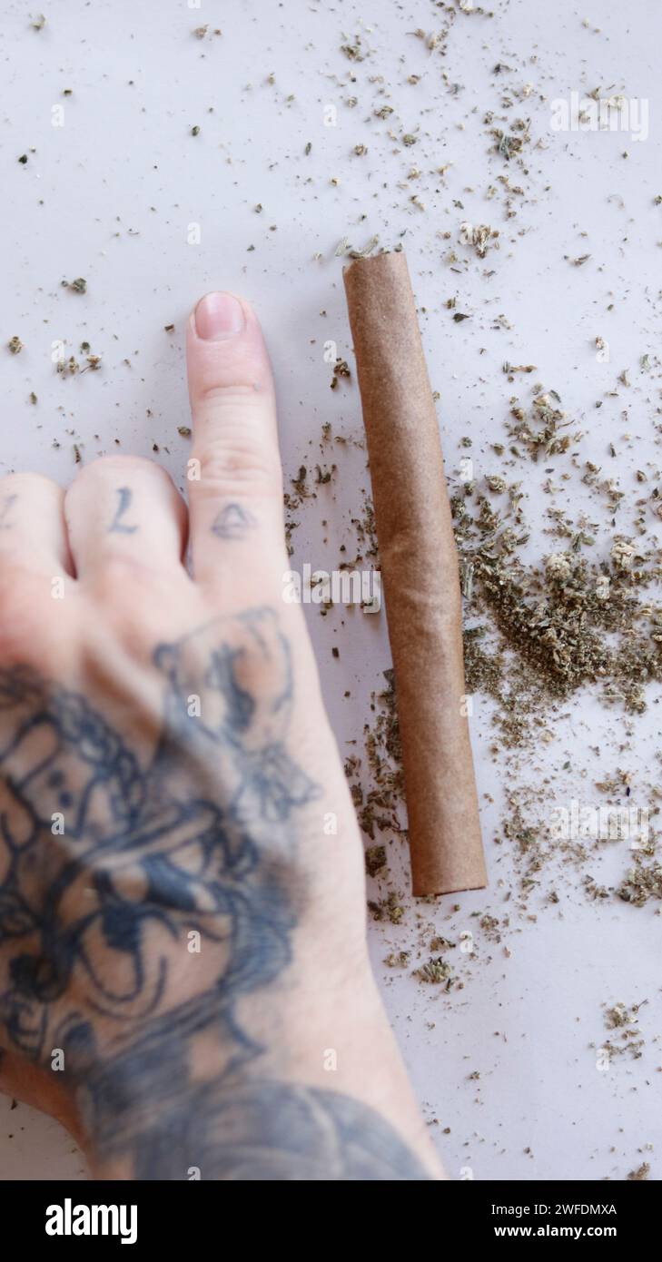 una persona con un tatuaggio sulla mano che tiene una marijuana smussata e resti di erba Foto Stock una persona con un tatuaggio sulla mano che tiene una marijuana smussata e resti di erba Foto Stock