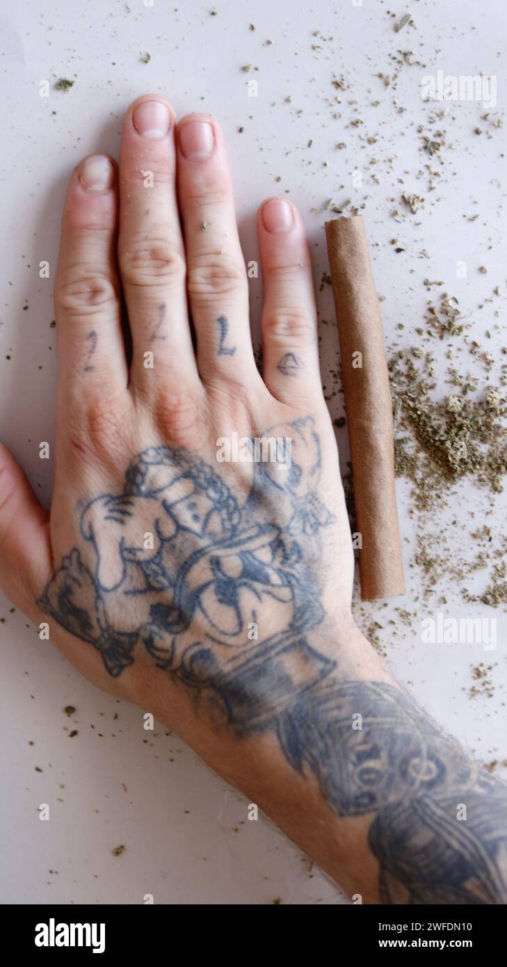 una persona con un tatuaggio sulla mano che tiene una marijuana smussata e resti di erba Foto Stock una persona con un tatuaggio sulla mano che tiene una marijuana smussata e resti di erba Foto Stock