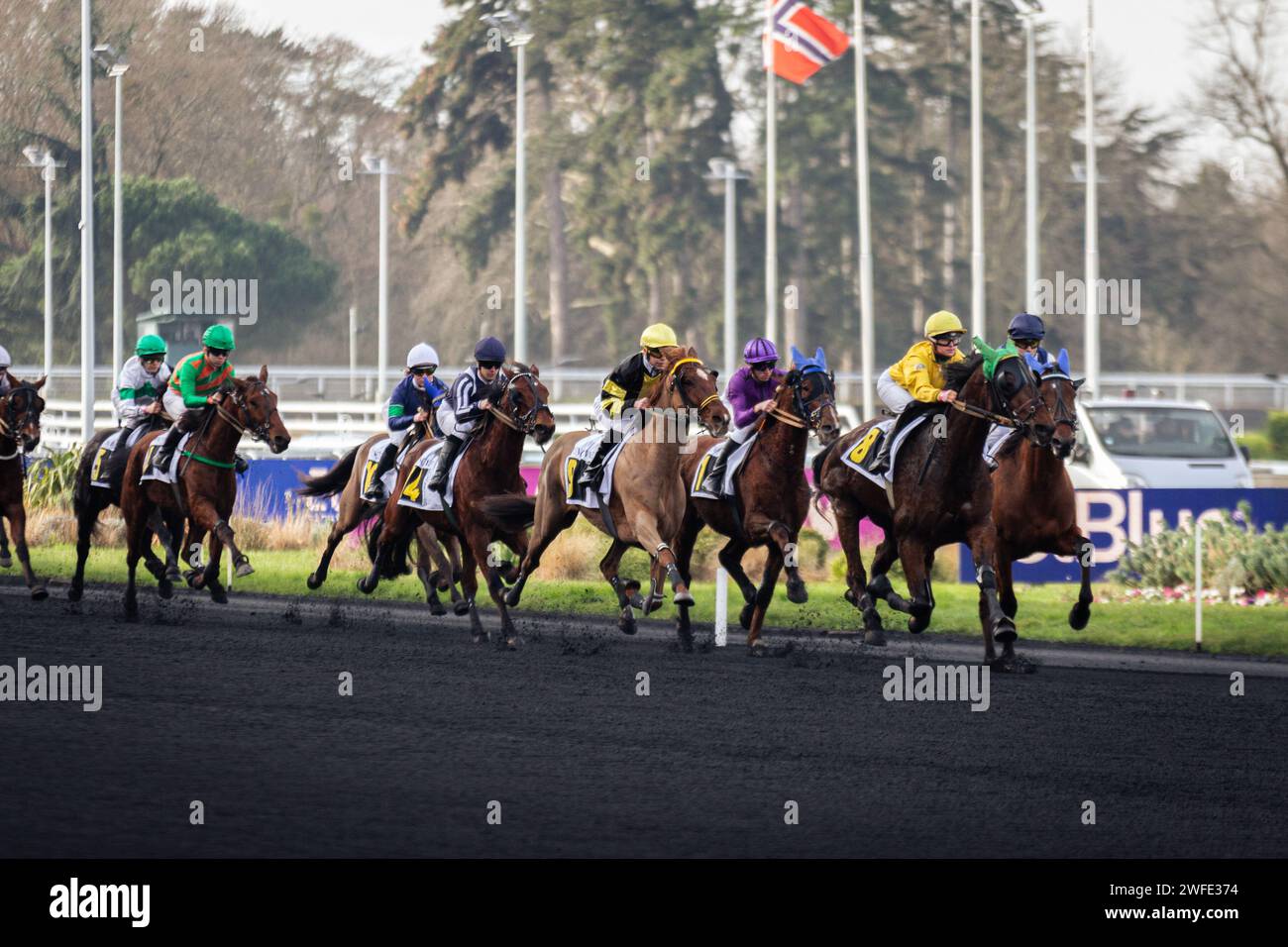 Vincennes, Francia. 28 gennaio 2024. Cavalli in gara per il Prix 20 minuti all'ippodromo di Vincennes. La gara di trotto più conosciuta al mondo, il Prix D'Amerique Legend Race, si è svolta nell'ippodromo di Vincennes, alla periferia di Parigi. Questa razza rimane una delle più importanti corse equestri al mondo, seguita da milioni di spettatori. Clement Duvaldestin e il suo cavallo Idao de Tillard furono i vincitori del Grand Prix d'Amerique 2024. (Foto di Telmo Pinto/SOPA Images/Sipa USA) credito: SIPA USA/Alamy Live News Foto Stock