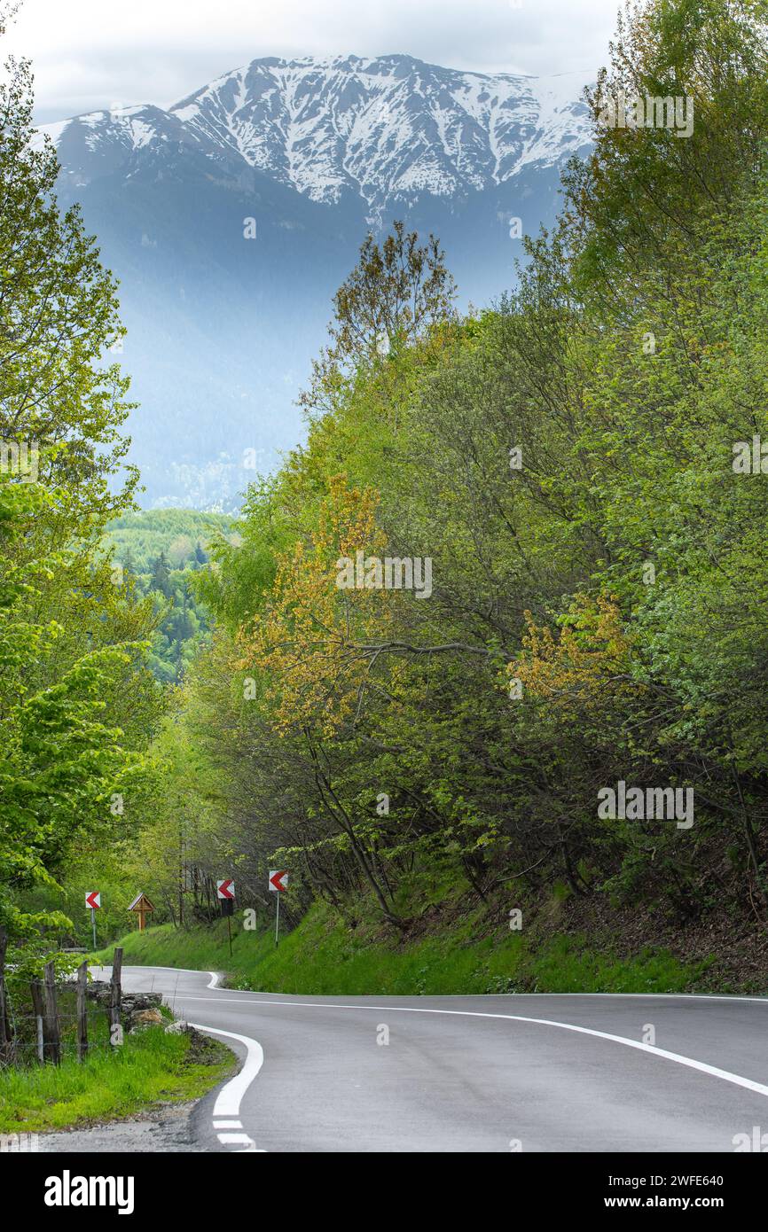 Una strada curva per la montagna. Una strada asfaltata con foresta verde e montagne sullo sfondo. Foto Stock
