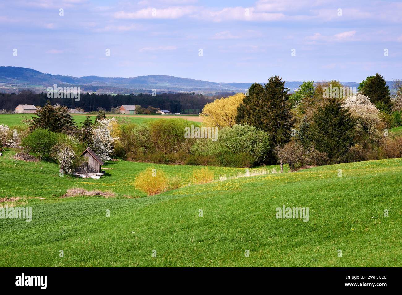 Paesaggio idilliaco in primavera nella Svizzera Franconica vicino a Kalchreuth, vicino a Norimberga, Germania Foto Stock