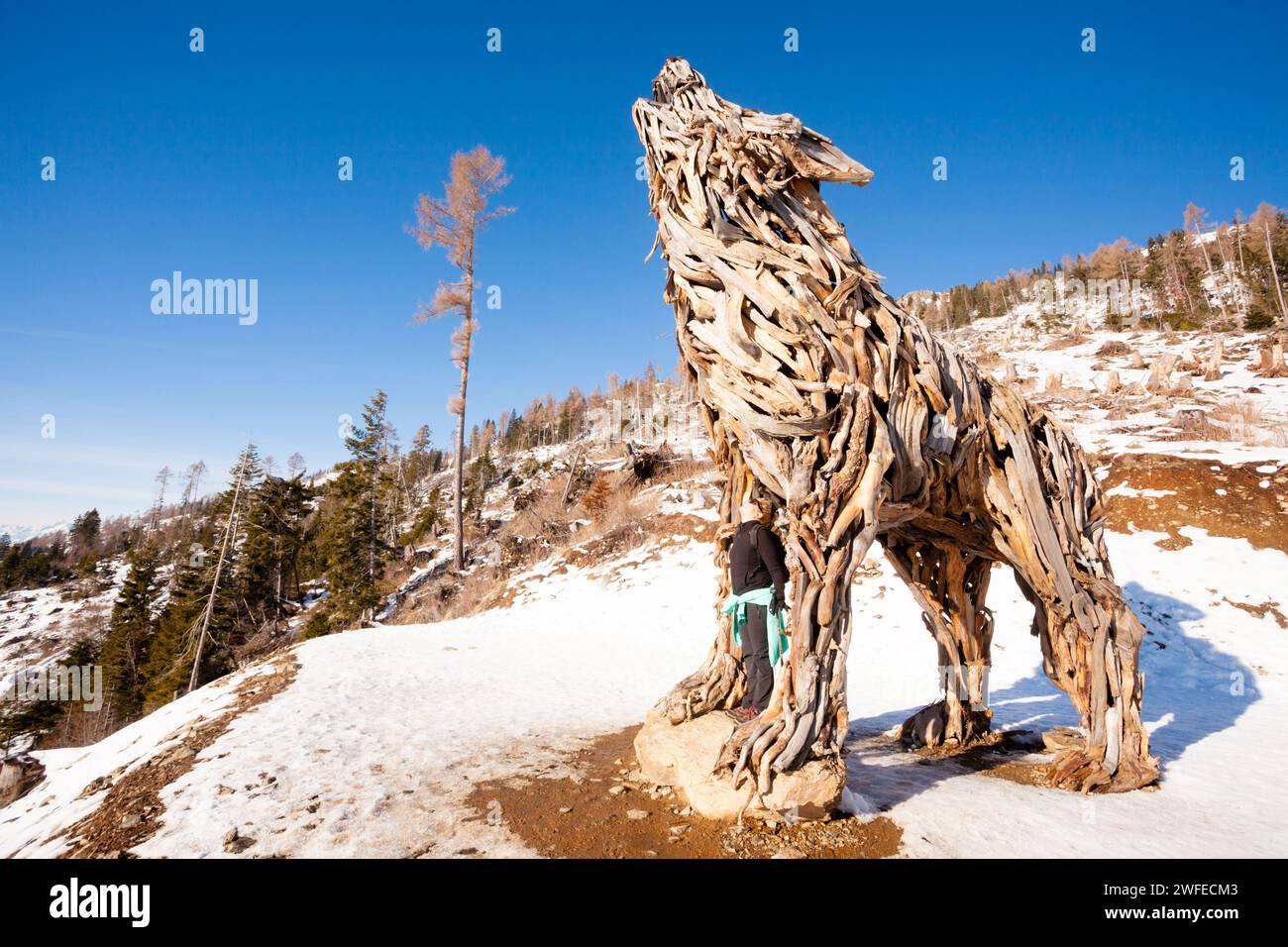 Scultura in legno di un lupo fatto di rami d'albero. Vaia tempesta lupo Foto Stock