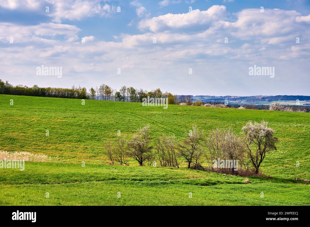 Paesaggio idilliaco in primavera nella Svizzera Franconica vicino a Kalchreuth, vicino a Norimberga, Germania Foto Stock