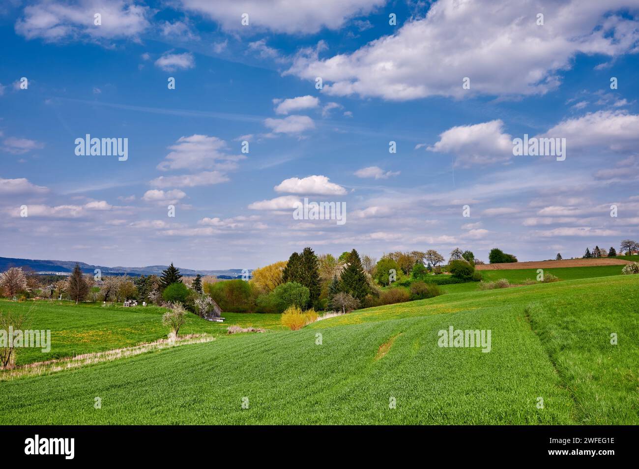 Idilliaco paesaggio primaverile nella Svizzera Franconica con un bel cielo nuvoloso vicino a Kalchreuth/Norimberga, Germania Foto Stock