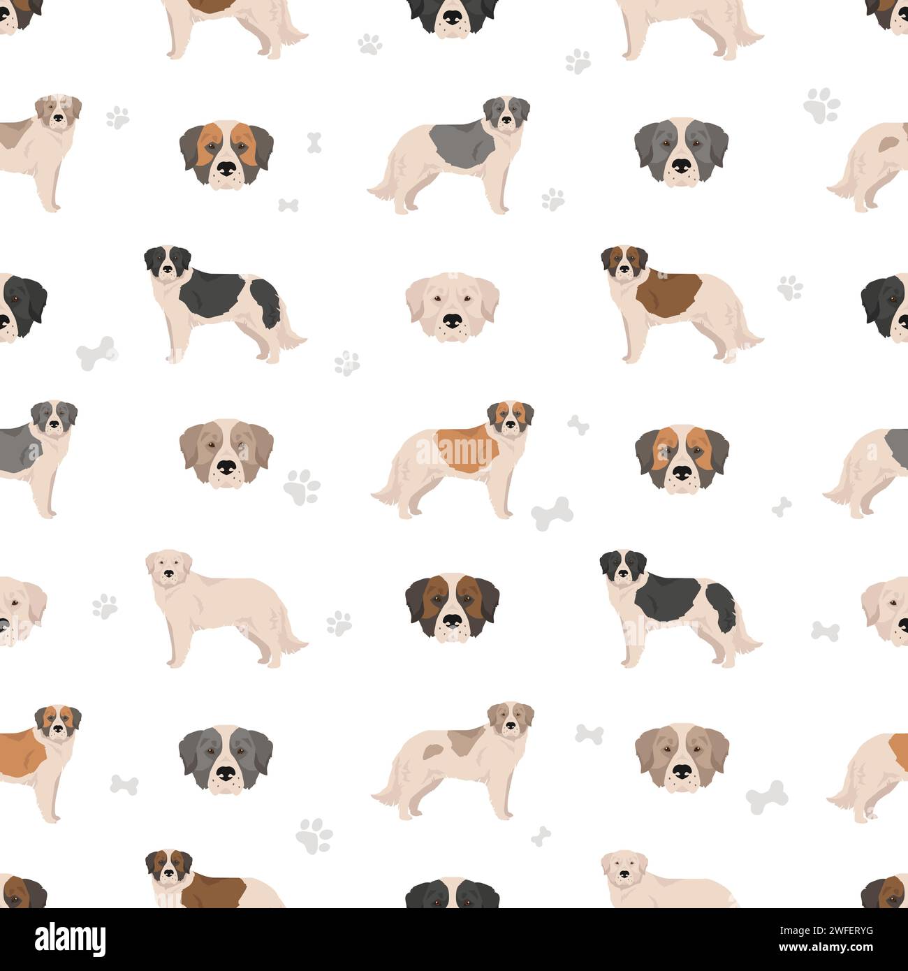 Motivo senza cuciture del mastiff dei Pirenei. Pose diverse, colori del cappotto impostati. Illustrazione vettoriale Illustrazione Vettoriale