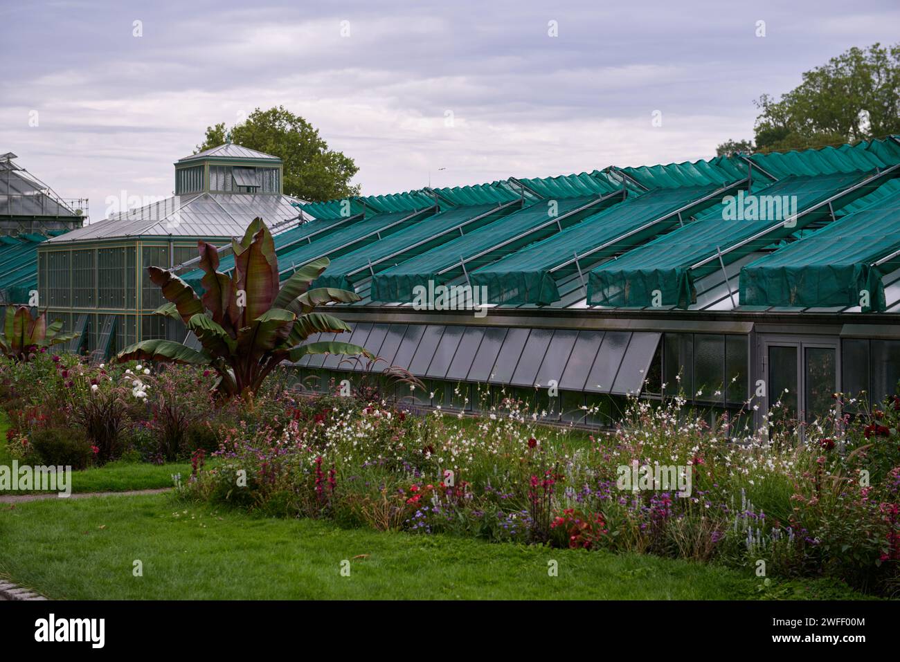Amazonian Ecosystem Enchantment: Nature's Wonders in the Botanical Greenhouse. Botanic Rainforest Marvel: Esplorando la flora amazzonica nel Foto Stock