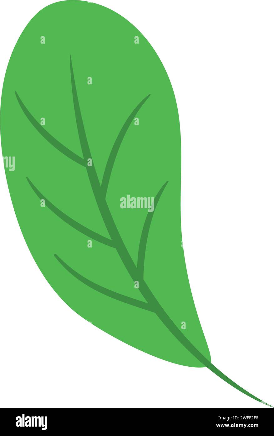Isolato colorato foglia naturale icona Vector Illustrazione Vettoriale