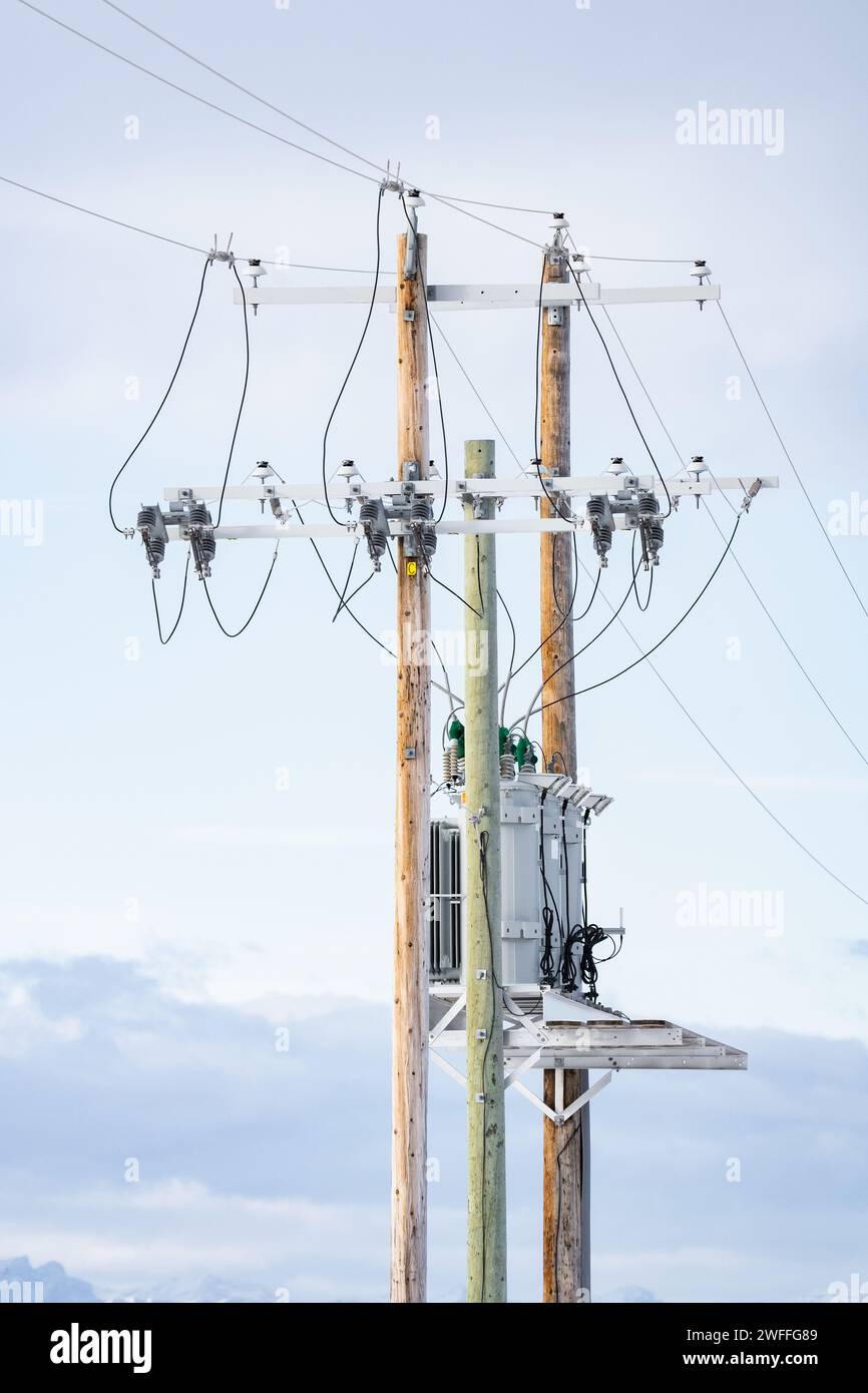 Pali di legno alti contro un cielo blu con trasformatori e linee elettriche nell'Alberta rurale in Canada. Foto Stock