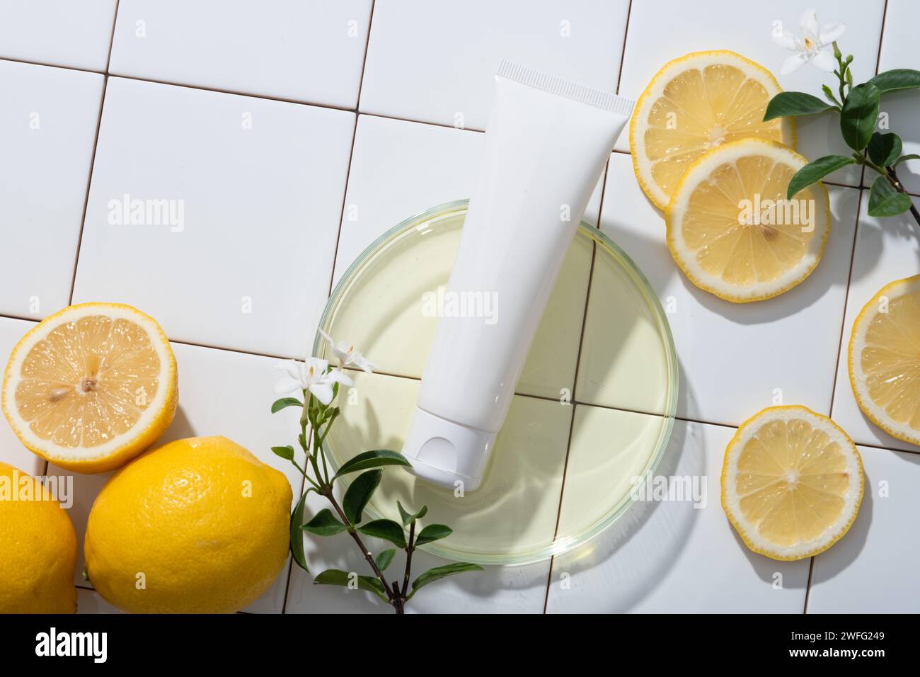 Piastra di Petri in vetro contenente liquido giallo chiaro e una provetta bianca con rami di fiori e fette di limone. Lemon (Citrus limon) aiuta a combattere il wri Foto Stock