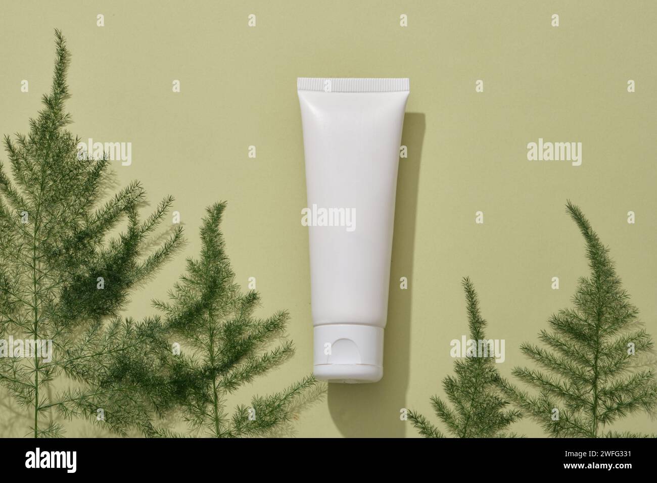 Scena minima di un contenitore cosmetico bianco posizionato su uno sfondo chiaro con diverse foglie verdi. Concetto di prodotti di bellezza naturali e biologici Foto Stock