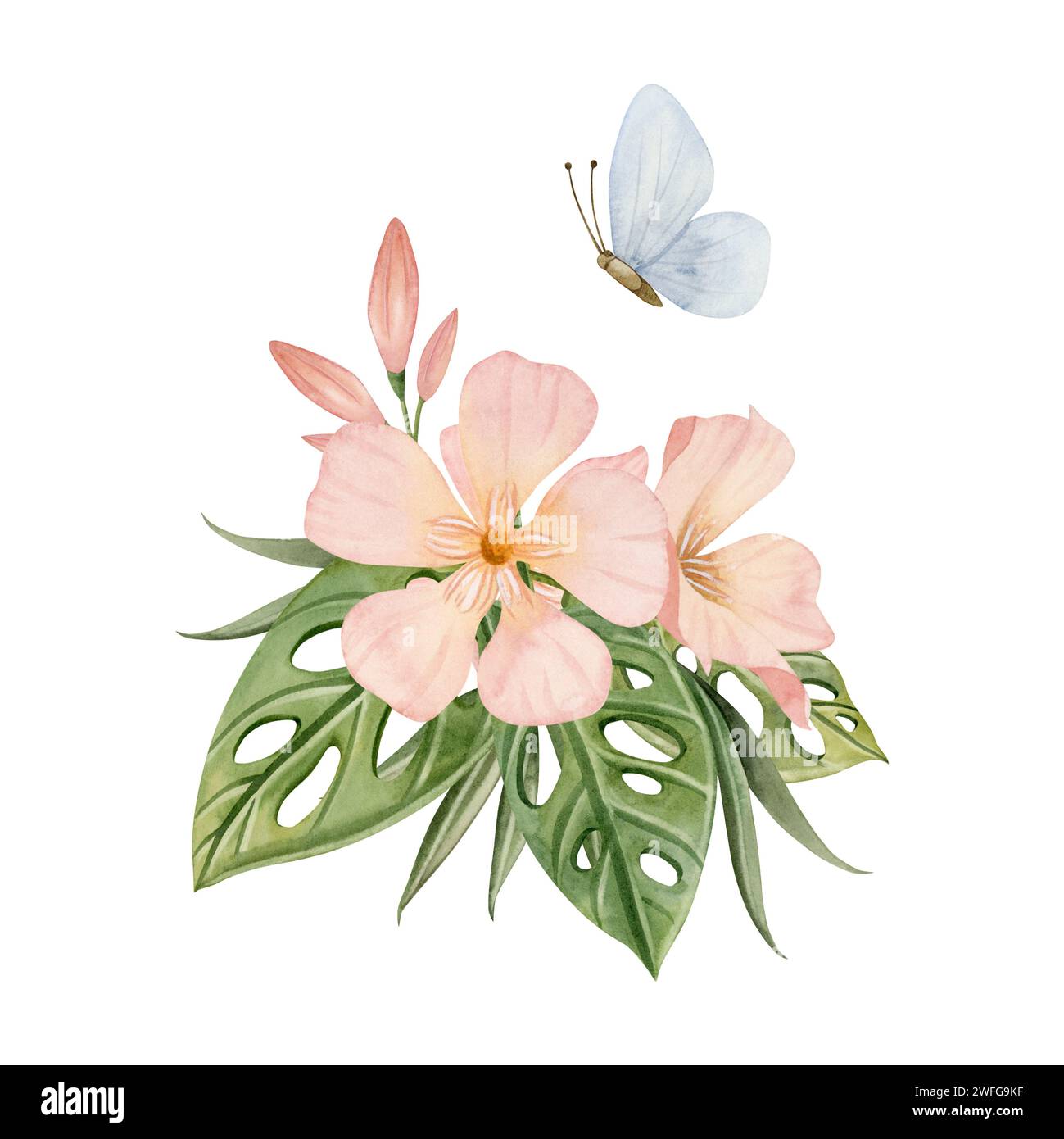 Fiori di Oleandro con foglie di monstera tropicale e illustrazione blu farfalla acquerello. Cespuglio rosa pastello di pesca fuzz Foto Stock