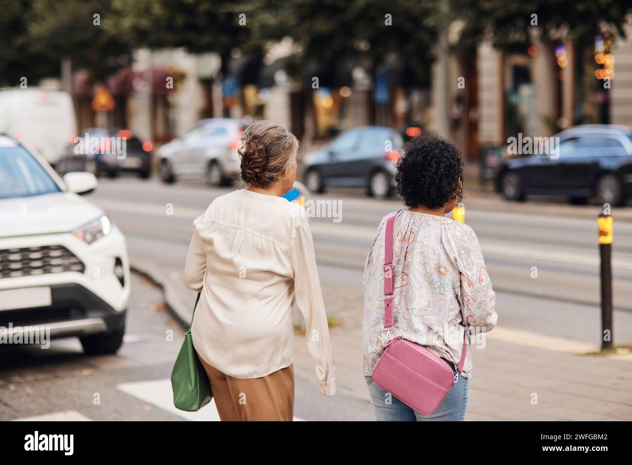 Vista posteriore di una donna disabile che passeggia con un'amica in strada in città Foto Stock