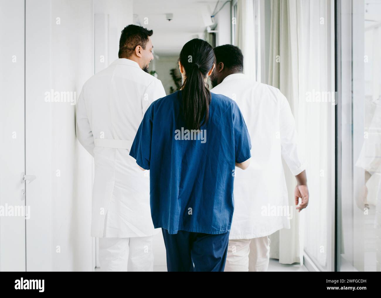 Vista posteriore del team sanitario multirazziale che cammina nel corridoio dell'ospedale Foto Stock