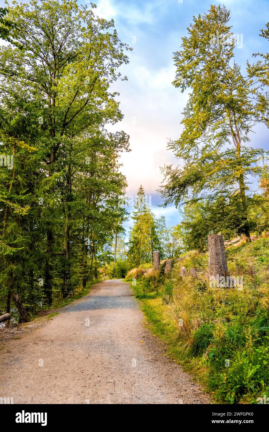 Sentiero pedonale all'Oestertalsperre con la natura circostante. Paesaggio vicino a Plettenberg. Foto Stock