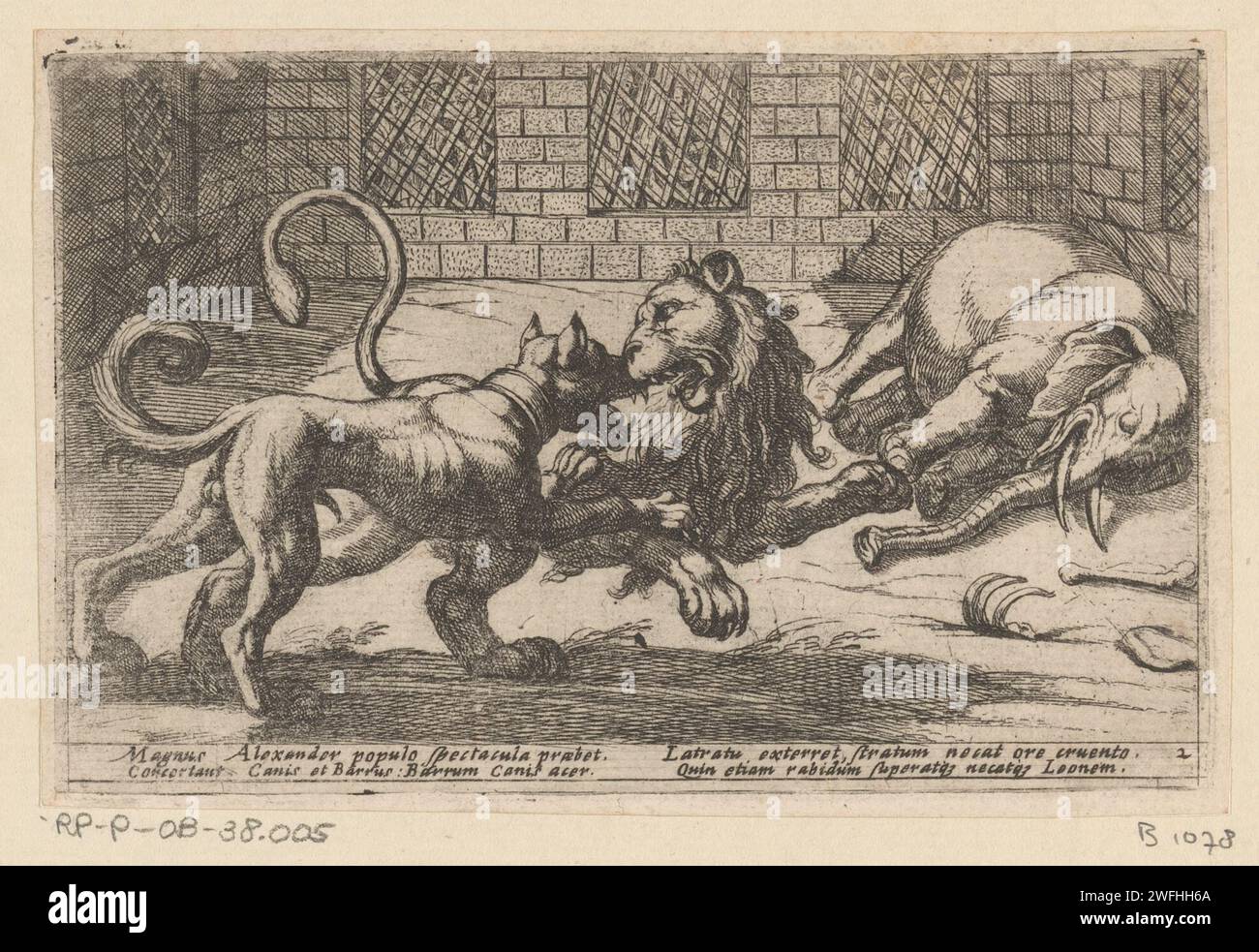 Cane, leone ed elefante in gabbia, Antonio tempesta, 1602 faccia stampata in una gabbia con un elefante morto e un cane da combattimento e un leone. Testo in latino in STUDMARGE. Tipografia: Italypublisher: RomeItaly carta incisione uomo e animale (+ gabbia per animali). bestie prede, animali predatori: leone. animali trunked: elefante. cane Foto Stock