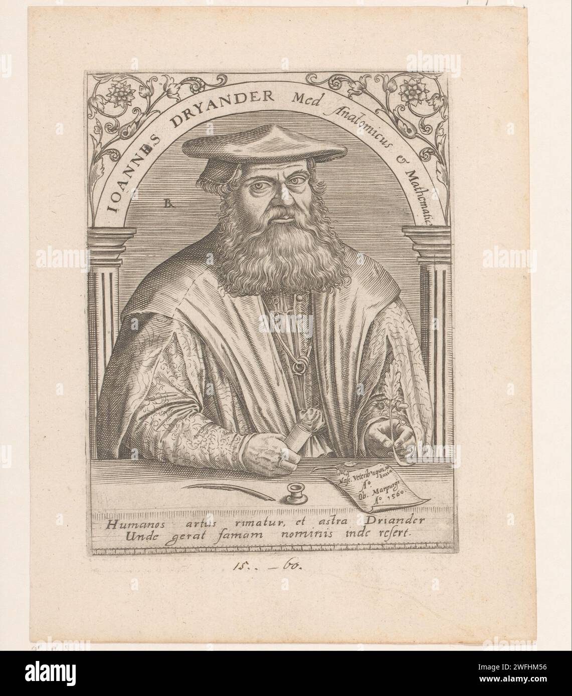 Ritratto di Johann Dryander, Robert Boissard, 1597 - 1599 stampa France paper Engraving Historical Persons. alberi: quercia Foto Stock