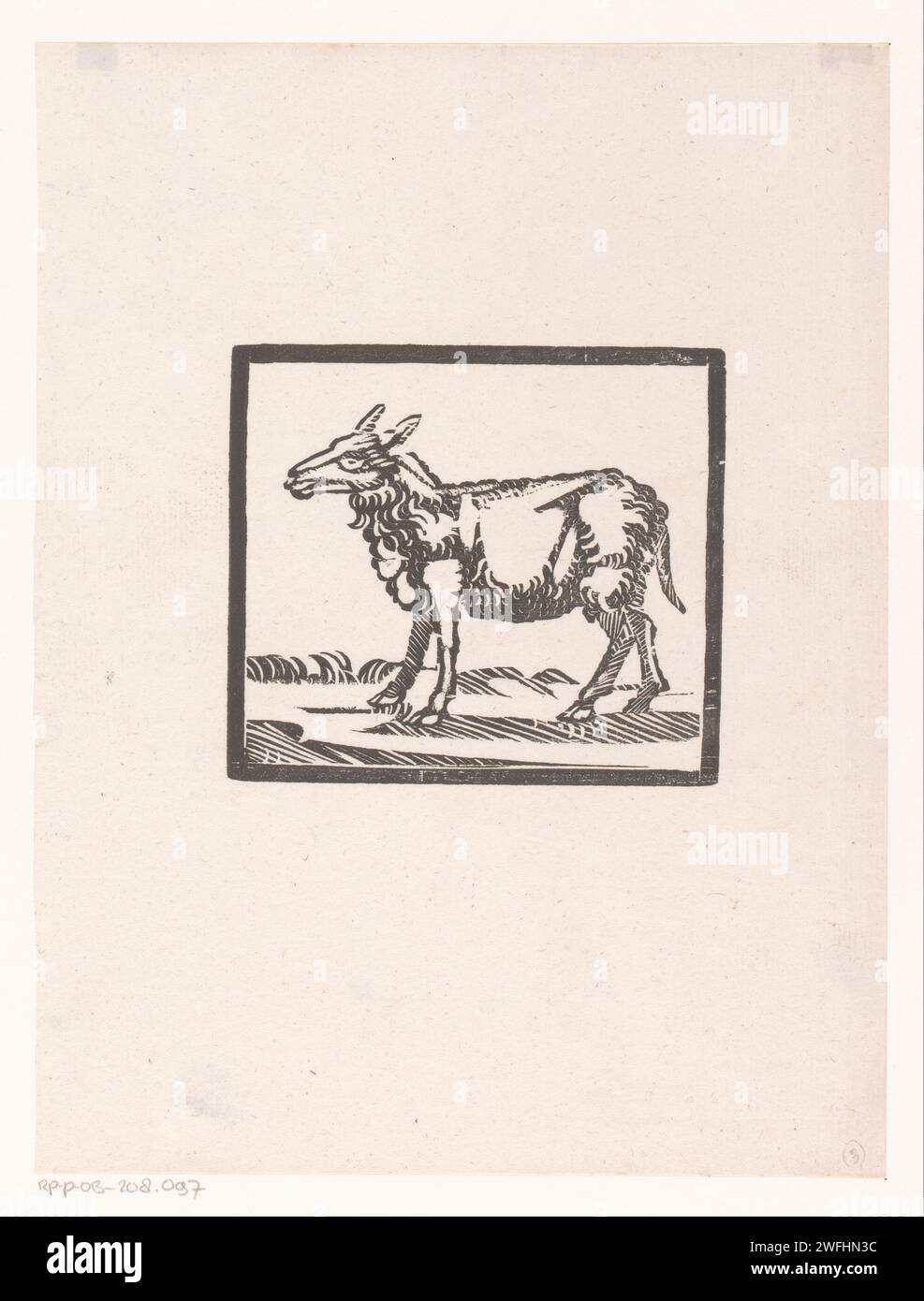 Schaap, 1600 - 1699 stampa di pecore di carta olandese Foto Stock